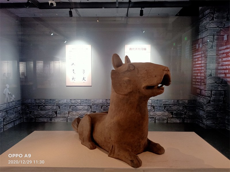 《帝乡之犬--南阳汉代陶狗展》